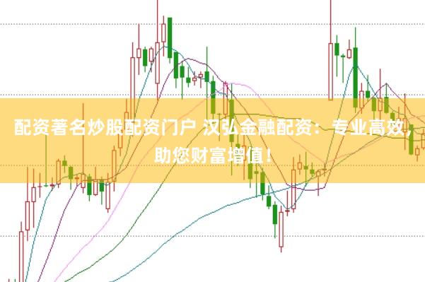 配资著名炒股配资门户 汉弘金融配资：专业高效，助您财富增值！