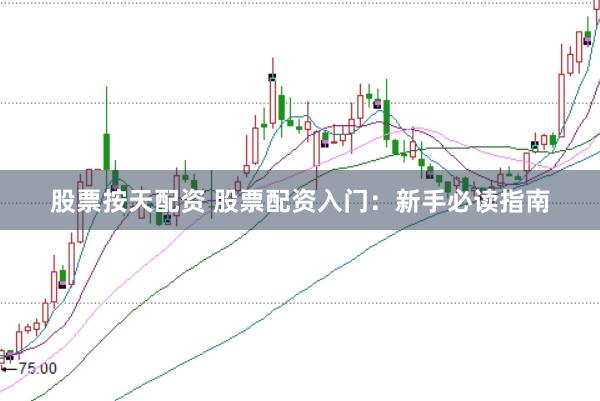 股票按天配资 股票配资入门：新手必读指南