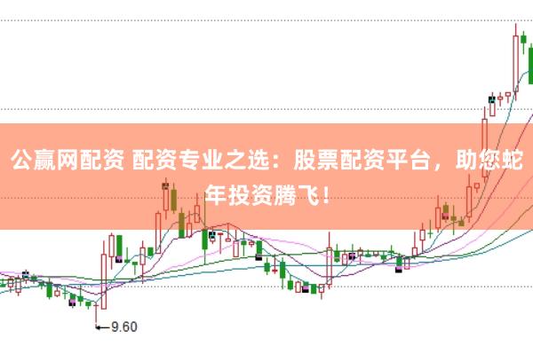 公赢网配资 配资专业之选：股票配资平台，助您蛇年投资腾飞！