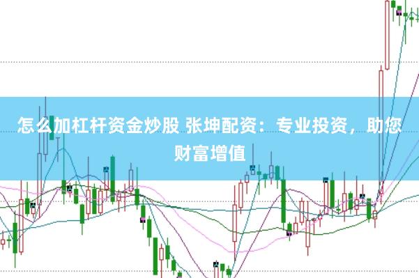 怎么加杠杆资金炒股 张坤配资：专业投资，助您财富增值