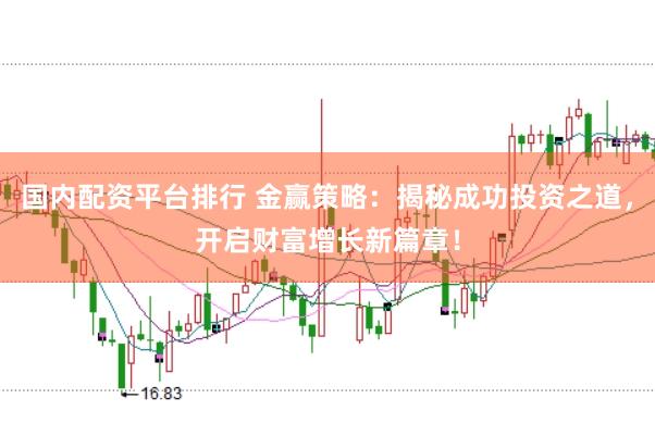 国内配资平台排行 金赢策略：揭秘成功投资之道，开启财富增长新篇章！
