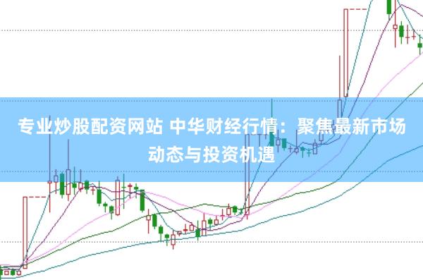专业炒股配资网站 中华财经行情：聚焦最新市场动态与投资机遇