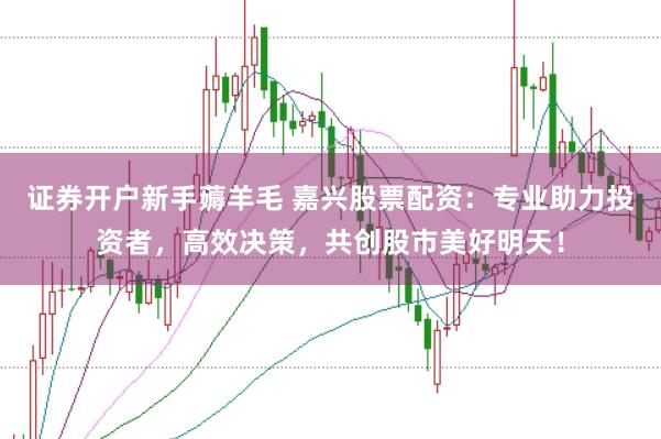 证券开户新手薅羊毛 嘉兴股票配资：专业助力投资者，高效决策，共创股市美好明天！