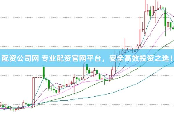 配资公司网 专业配资官网平台，安全高效投资之选！