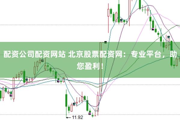 配资公司配资网站 北京股票配资网：专业平台，助您盈利！