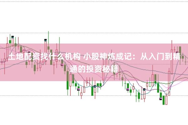 土地配资找什么机构 小股神炼成记：从入门到精通的投资秘籍