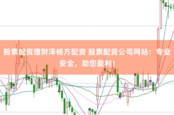 股票配资理财泽杨方配资 股票配资公司网站：专业安全，助您盈利！