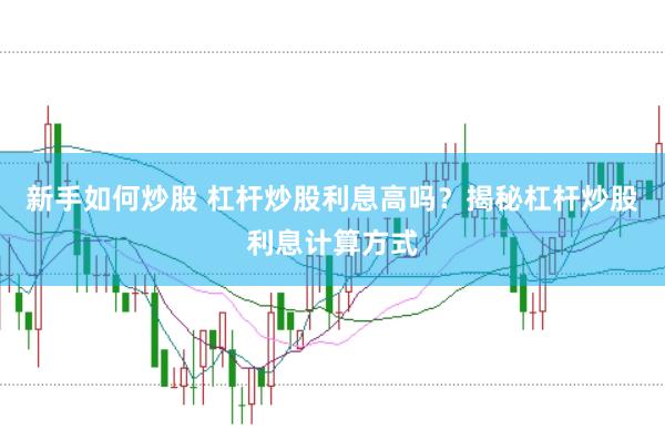 新手如何炒股 杠杆炒股利息高吗？揭秘杠杆炒股利息计算方式