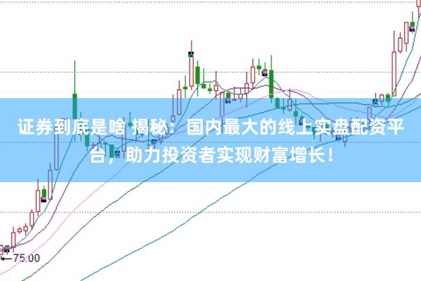 证券到底是啥 揭秘：国内最大的线上实盘配资平台，助力投资者实现财富增长！