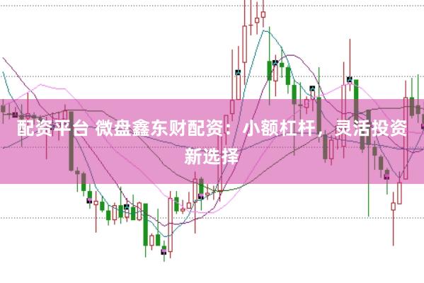 配资平台 微盘鑫东财配资：小额杠杆，灵活投资新选择