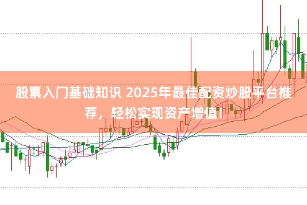 股票入门基础知识 2025年最佳配资炒股平台推荐，轻松实现资产增值！