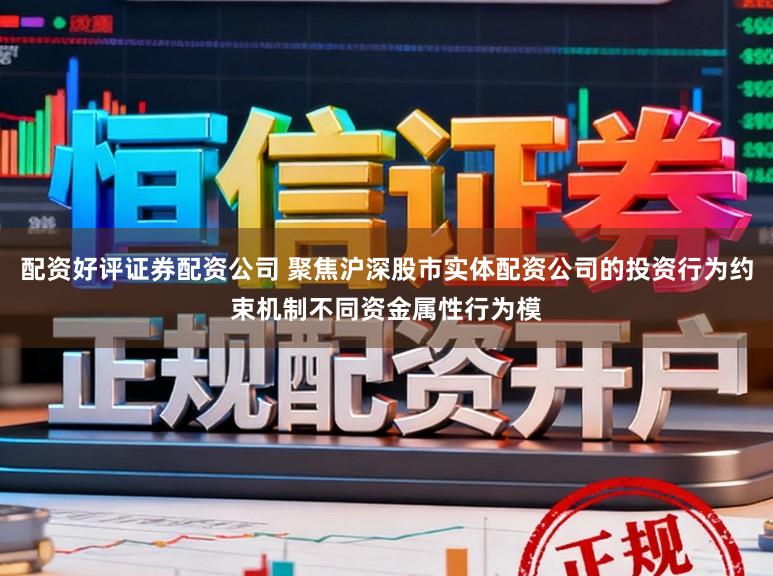 配资好评证券配资公司 聚焦沪深股市实体配资公司的投资行为约束机制不同资金属性行为模