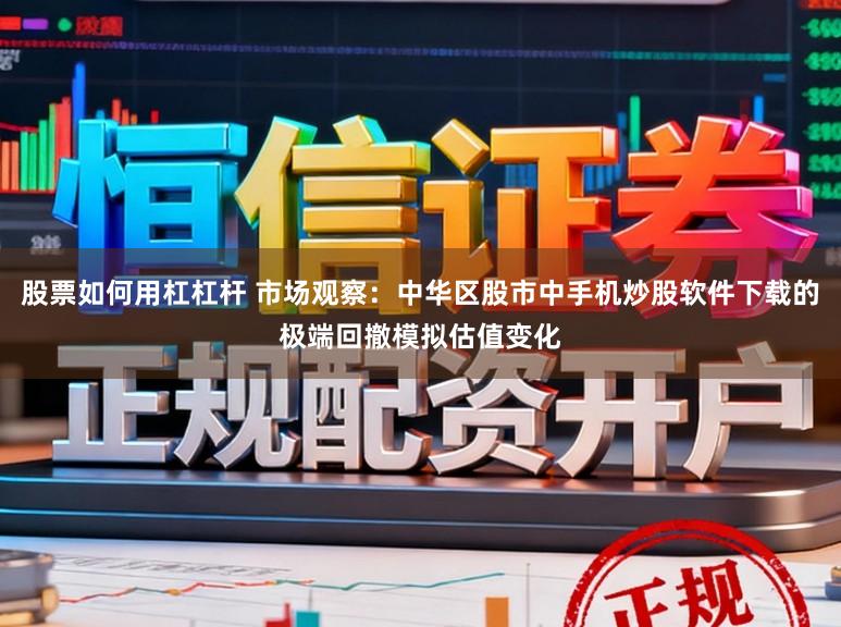 股票如何用杠杠杆 市场观察：中华区股市中手机炒股软件下载的极端回撤模拟估值变化