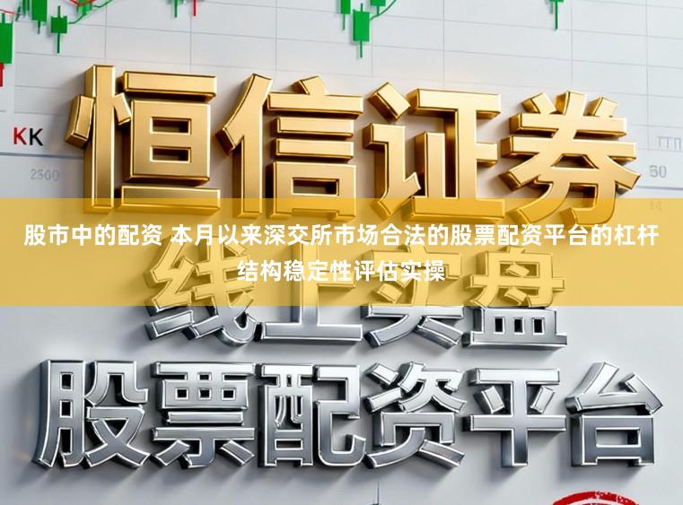 股市中的配资 本月以来深交所市场合法的股票配资平台的杠杆结构稳定性评估实操