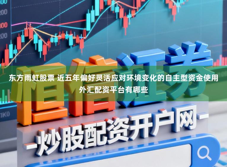 东方雨虹股票 近五年偏好灵活应对环境变化的自主型资金使用外汇配资平台有哪些