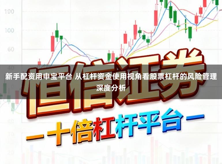 新手配资用申宝平台 从杠杆资金使用视角看股票杠杆的风险管理深度分析